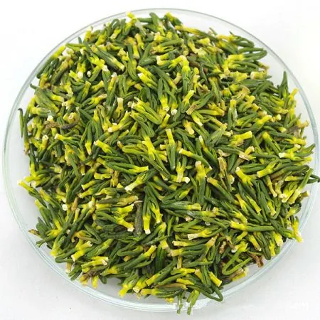 Xem Hình Ảnh Tim Sen Thực Tế Và Phân Biệt Tim Sen Với Hạt Sen Cho Người Mới Tìm Hiểu