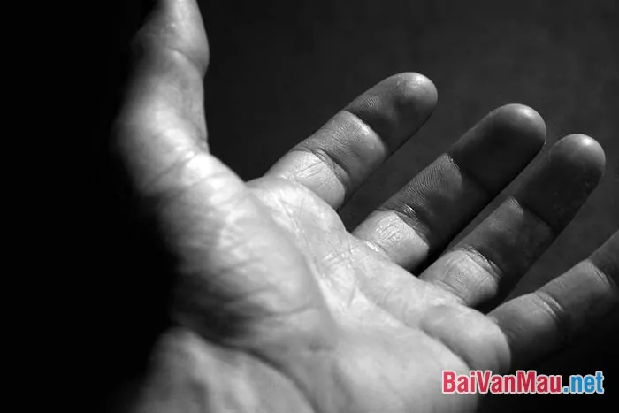 Phân Tích Ý Nghĩa Hình Ảnh Đôi Bàn Tay Tnú Trong Rừng Xà Nu Cho Học Sinh