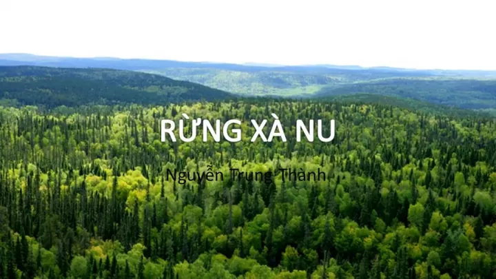 Phân Tích Ý Nghĩa Hình Ảnh Đôi Bàn Tay Tnú Trong Rừng Xà Nu Cho Học Sinh