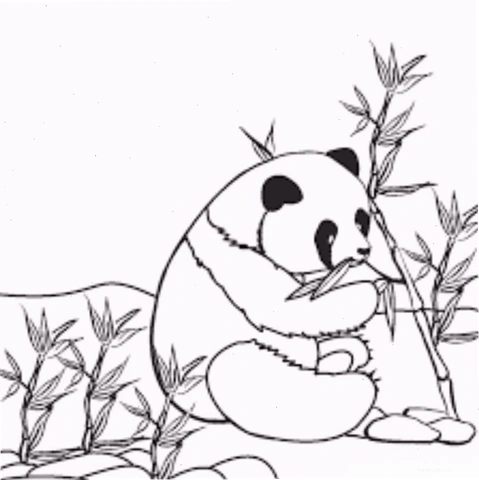 Tranh Tô Màu Con Vật Sống Trong Rừng: Tải Miễn Phí, In Ngay & Hướng Dẫn Cho Bé (dành Cho Phụ Huynh & Giáo Viên)