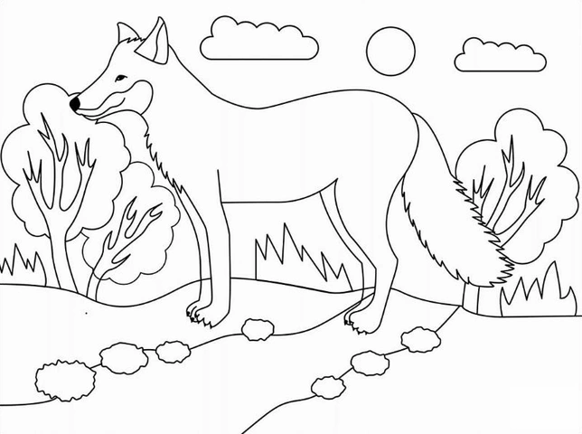 Tranh Tô Màu Con Vật Sống Trong Rừng: Tải Miễn Phí, In Ngay & Hướng Dẫn Cho Bé (dành Cho Phụ Huynh & Giáo Viên)