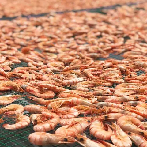 Xem Và Tải Hình Ảnh Tôm Khô Thực Tế: Phân Loại Tôm Đất, Tôm Biển Và Tôm Móng Chim Cho Người Mua Sỉ Lẻ Xem Và Tải Hình Ảnh Tôm Khô Thực Tế: Phân Loại Tôm Đất, Tôm Biển Và Tôm Móng Chim Cho Người Mua Sỉ Lẻ