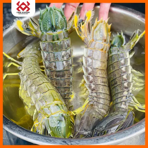 Xem Hình Ảnh Tôm Tích Và Phân Biệt Tôm Tích Thịt Với Tôm Tích Gạch Cho Người Mua Hải Sản