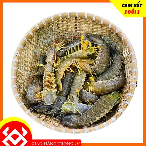 Xem Hình Ảnh Tôm Tích Và Phân Biệt Tôm Tích Thịt Với Tôm Tích Gạch Cho Người Mua Hải Sản