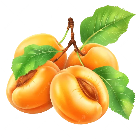 Xem Và Tải Hình Ảnh Trái Mơ Đẹp, Miễn Phí Cho Người Thiết Kế