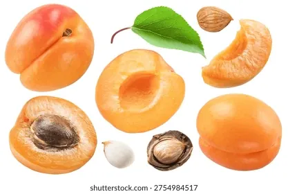 Xem Và Tải Hình Ảnh Trái Mơ Đẹp, Miễn Phí Cho Người Thiết Kế