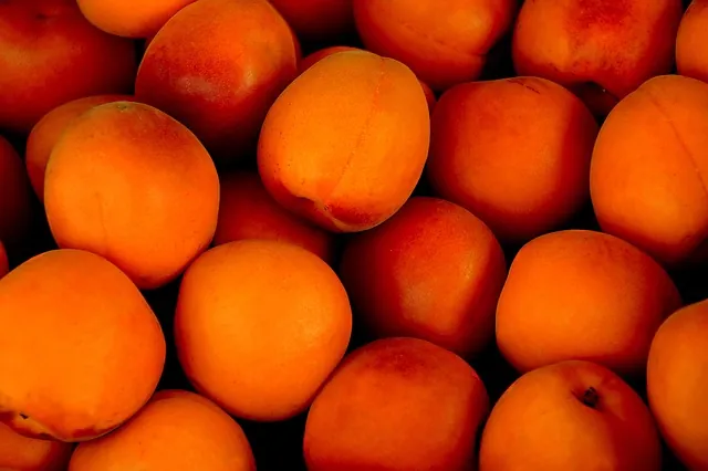 Xem Và Tải Hình Ảnh Trái Mơ Đẹp, Miễn Phí Cho Người Thiết Kế