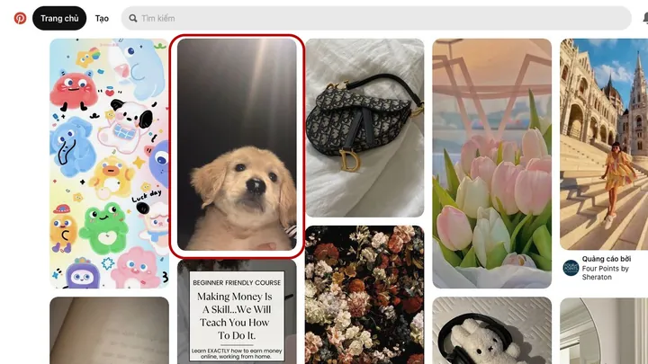 Tải Hình Ảnh Trên Pinterest: Cách Lưu Ghim Về Điện Thoại, Máy Tính Cho Người Mới Bắt Đầu Tải Hình Ảnh Trên Pinterest: Cách Lưu Ghim Về Điện Thoại, Máy Tính Cho Người Mới Bắt Đầu
