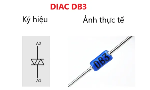 Xem Hình Ảnh Triac Thực Tế Và Cấu Tạo (meronymy) Linh Kiện Cho Người Mới Bắt Đầu