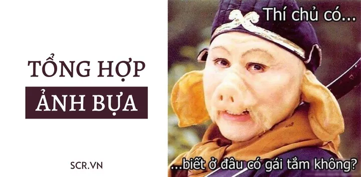 Tải Ngay Hình Ảnh Troll Hài Hước (meme) Dành Cho Gen Z Cà Khịa Bạn Bè Tải Ngay Hình Ảnh Troll Hài Hước (meme) Dành Cho Gen Z Cà Khịa Bạn Bè
