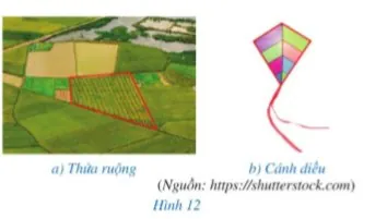 Tìm Hiểu Hình Ảnh Tứ Giác: Phân Loại Và Đặc Điểm Hình Tứ Giác Cho Học Sinh Tìm Hiểu Hình Ảnh Tứ Giác: Phân Loại Và Đặc Điểm Hình Tứ Giác Cho Học Sinh