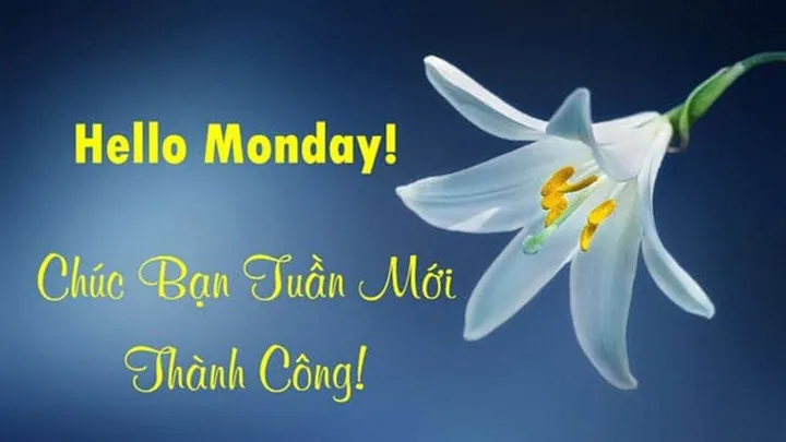 Tải Hình Ảnh Tuần Mới Đẹp Nhất Cho Bạn Bè Và Khách Hàng Miễn Phí Tải Hình Ảnh Tuần Mới Đẹp Nhất Cho Bạn Bè Và Khách Hàng Miễn Phí