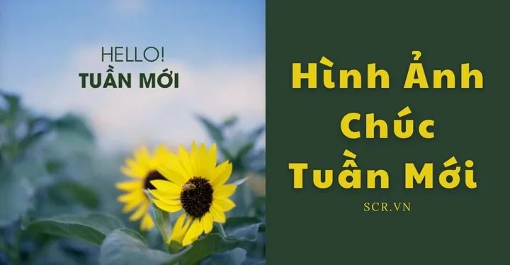 Tải Hình Ảnh Tuần Mới Đẹp Nhất Cho Bạn Bè Và Khách Hàng Miễn Phí Tải Hình Ảnh Tuần Mới Đẹp Nhất Cho Bạn Bè Và Khách Hàng Miễn Phí