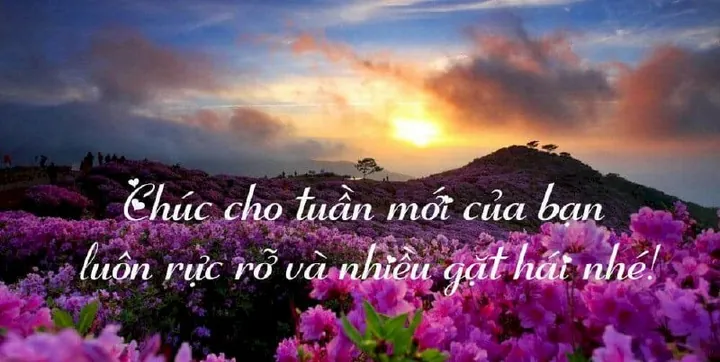 Tải Hình Ảnh Tuần Mới Đẹp Nhất Cho Bạn Bè Và Khách Hàng Miễn Phí Tải Hình Ảnh Tuần Mới Đẹp Nhất Cho Bạn Bè Và Khách Hàng Miễn Phí