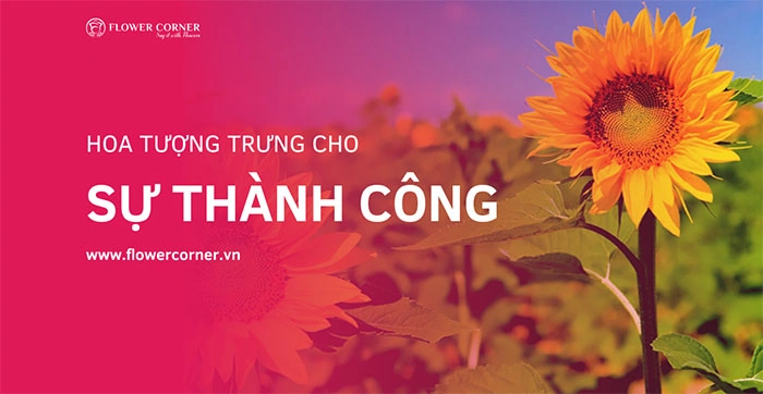 Hình Ảnh Tượng Trưng Cho Sự Thành Công: Bộ Sưu Tập Đầy Đủ Dành Cho Doanh Nhân & Người Đam Mê Phong Thủy