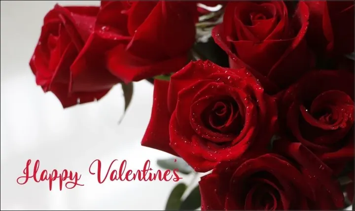 Tải Hình Ảnh Valentine Buồn Cô Đơn Cho Người Đang Tâm Trạng Trái Ngược Với Ngày Lễ Ngọt Ngào