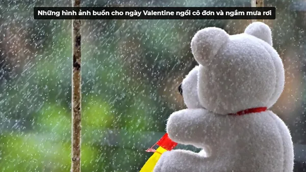 Tải Hình Ảnh Valentine Buồn Cô Đơn Cho Người Đang Tâm Trạng Trái Ngược Với Ngày Lễ Ngọt Ngào
