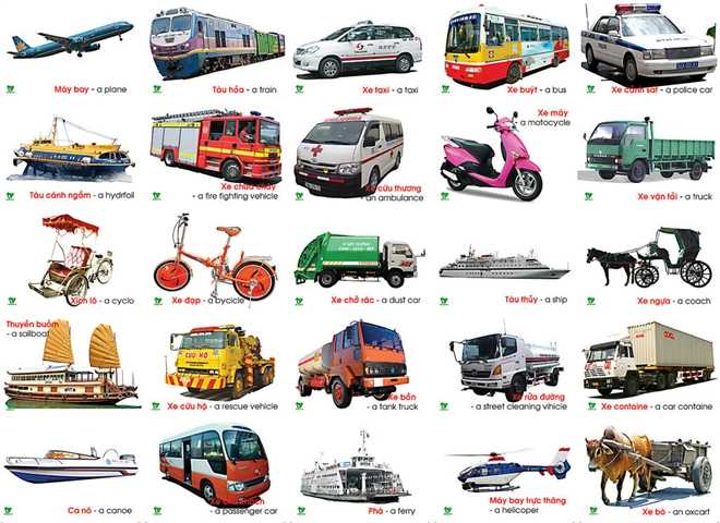 Hình Ảnh Về Các Loại Phương Tiện Giao Thông: Bộ Sưu Tập Miễn Phí, Định Dạng Png & Vector Dành Cho Giáo Dục, Thiết Kế Và Trò Chơi Trẻ Em