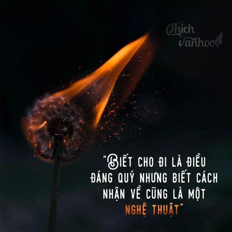 Hình Ảnh Về Cho Đi Và Nhận Lại: Bộ Sưu Tập Đầy Ý Nghĩa Cho Người Yêu Thích Cảm Hứng Hình Ảnh Về Cho Đi Và Nhận Lại: Bộ Sưu Tập Đầy Ý Nghĩa Cho Người Yêu Thích Cảm Hứng