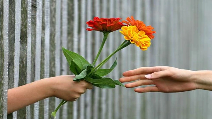 Hình Ảnh Về Cho Đi Và Nhận Lại: Bộ Sưu Tập Đầy Ý Nghĩa Cho Người Yêu Thích Cảm Hứng Hình Ảnh Về Cho Đi Và Nhận Lại: Bộ Sưu Tập Đầy Ý Nghĩa Cho Người Yêu Thích Cảm Hứng