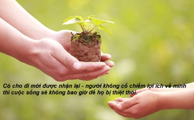 Hình Ảnh Về Cho Đi Và Nhận Lại: Bộ Sưu Tập Đầy Ý Nghĩa Cho Người Yêu Thích Cảm Hứng Hình Ảnh Về Cho Đi Và Nhận Lại: Bộ Sưu Tập Đầy Ý Nghĩa Cho Người Yêu Thích Cảm Hứng