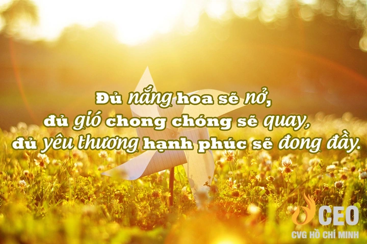 Hình Ảnh Về Cho Đi Và Nhận Lại: Bộ Sưu Tập Đầy Ý Nghĩa Cho Người Yêu Thích Cảm Hứng Hình Ảnh Về Cho Đi Và Nhận Lại: Bộ Sưu Tập Đầy Ý Nghĩa Cho Người Yêu Thích Cảm Hứng