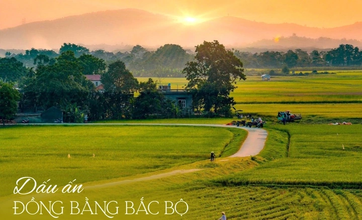 99+ Hình Ảnh Đẹp Về Đồng Bằng Bắc Bộ – Tập Hợp Cảnh Quê, Văn Hoá & Địa Lý Cho Học Sinh & Giáo Viên