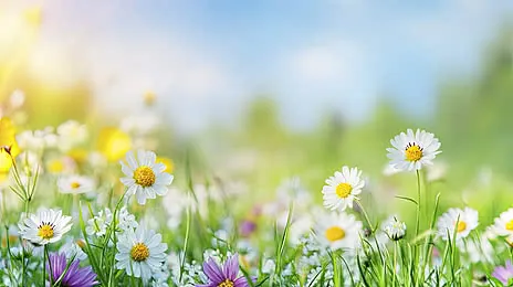 Tải Miễn Phí Hình Ảnh Về Nắng Đẹp Cho Designer Và Content Creator Từ Kho Ảnh Sunshine Tải Miễn Phí Hình Ảnh Về Nắng Đẹp Cho Designer Và Content Creator Từ Kho Ảnh Sunshine