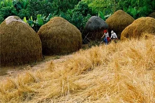 Tải Hình Ảnh Về Rom: Khám Phá Bộ Nhớ Chỉ Đọc Qua Minh Họa Cho Người Mới Học Công Nghệ