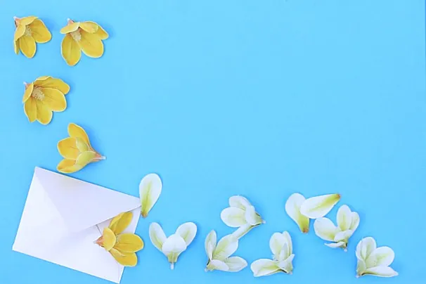 Tải Và Thiết Kế Hình Ảnh Viết Thư Đẹp, Miễn Phí Cho Người Viết Thư Tay