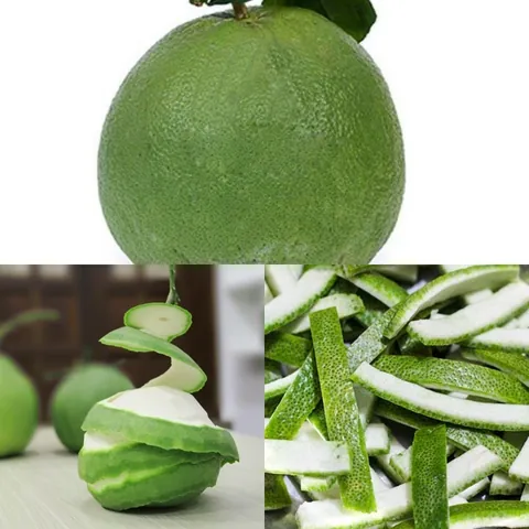 Tải Và Sử Dụng Hình Ảnh Vỏ Bưởi Miễn Phí Cho Nhà Thiết Kế & Người Làm Đẹp