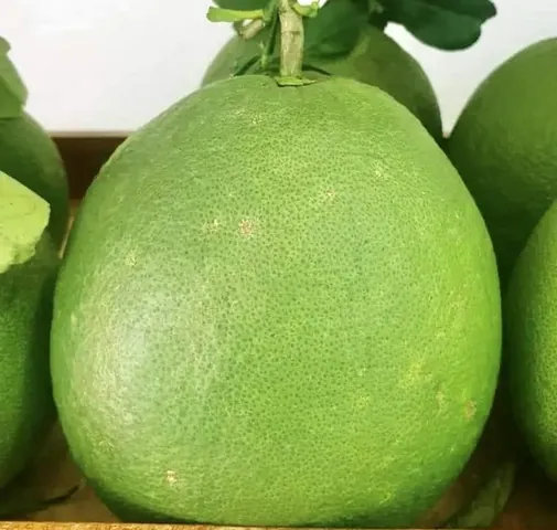 Tải Và Sử Dụng Hình Ảnh Vỏ Bưởi Miễn Phí Cho Nhà Thiết Kế & Người Làm Đẹp