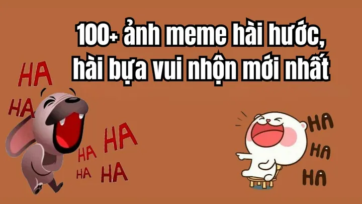 Tải Xuống Bộ Sưu Tập Hình Ảnh Vui Đẹp Cho Điện Thoại Và Máy Tính Từ Nguồn Miễn Phí