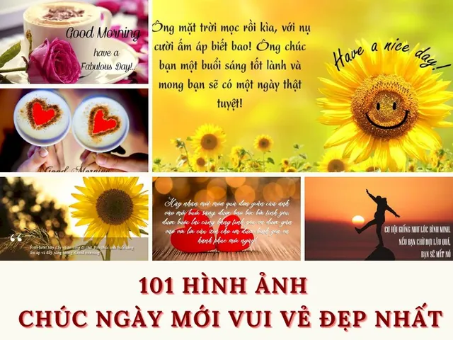 Tải Xuống Bộ Sưu Tập Hình Ảnh Vui Đẹp Cho Điện Thoại Và Máy Tính Từ Nguồn Miễn Phí