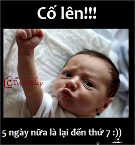 Tải Ngay 150+ Hình Ảnh Vui Nhộn Về Cuộc Sống – Bộ Sưu Tập Miễn Phí Dành Cho Người Yêu Thích Giải Trí Tải Ngay 150+ Hình Ảnh Vui Nhộn Về Cuộc Sống – Bộ Sưu Tập Miễn Phí Dành Cho Người Yêu Thích Giải Trí