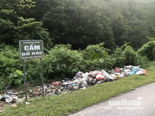 Tải Và Sử Dụng Hình Ảnh Vứt Rác Miễn Phí Cho Thiết Kế Và Truyền Thông