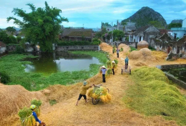 Tải Xuống Hình Ảnh Xa Nhà Buồn Nhớ Quê Hương Dành Cho Người Lập Nghiệp Phương Xa Qua Kho Ảnh Tâm Trạng