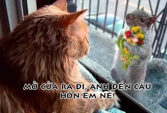 Tải Hình Ảnh Xả Stress Miễn Phí: Bộ Sưu Tập Ảnh Thư Giãn Cho Người Cần Giảm Căng Thẳng Tải Hình Ảnh Xả Stress Miễn Phí: Bộ Sưu Tập Ảnh Thư Giãn Cho Người Cần Giảm Căng Thẳng