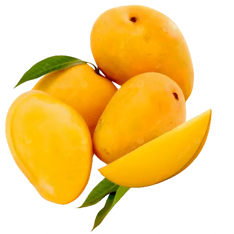 Xem Hình Ảnh Xoài Cát Hòa Lộc Chuẩn Giống Để Phân Biệt Với Xoài Cát Chu Cho Người Mua Quả Tươi