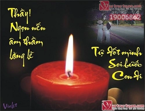 Hình Ảnh Ý Nghĩa Về Thầy Cô: Bộ Sưu Tập Đầy Cảm Xúc Để Tri Ân Ngày 20/11 Dành Cho Học Sinh & Giáo Viên