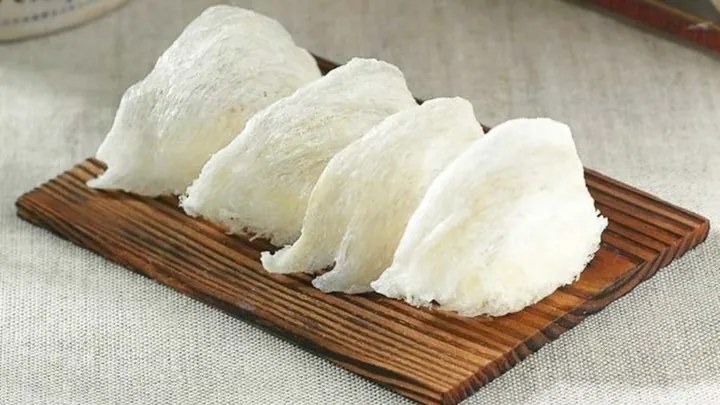 Tổng Hợp Xem Và Phân Biệt Hình Ảnh Yến Thật, Yến Giả Và Tổ Yến Cho Người Mua Tổng Hợp Xem Và Phân Biệt Hình Ảnh Yến Thật, Yến Giả Và Tổ Yến Cho Người Mua
