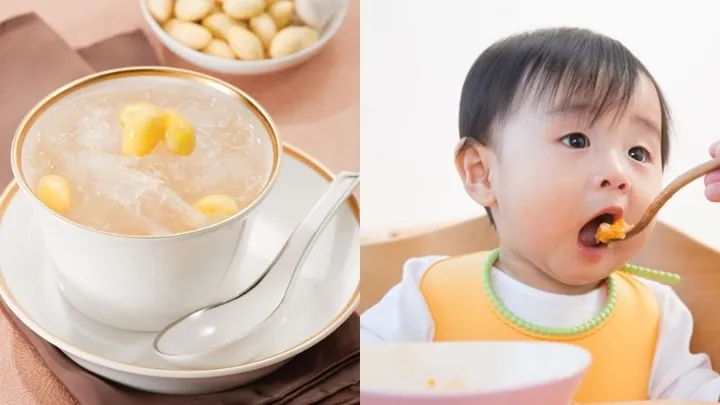 Xem Hình Ảnh Yến Chưng Thật Và Giả Để Phân Biệt Tổ Yến Chưng Cho Người Mua Sỉ