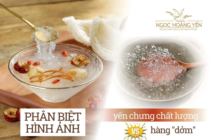 Xem Hình Ảnh Yến Chưng Thật Và Giả Để Phân Biệt Tổ Yến Chưng Cho Người Mua Sỉ