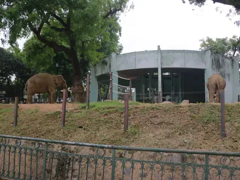 Tải Xuống Tổng Hợp Hình Ảnh Zoo Miễn Phí Bản Quyền Cho Designer: Ảnh, Vector Và Minh Họa Tải Xuống Tổng Hợp Hình Ảnh Zoo Miễn Phí Bản Quyền Cho Designer: Ảnh, Vector Và Minh Họa