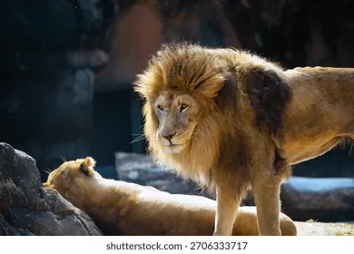 Tải Xuống Tổng Hợp Hình Ảnh Zoo Miễn Phí Bản Quyền Cho Designer: Ảnh, Vector Và Minh Họa Tải Xuống Tổng Hợp Hình Ảnh Zoo Miễn Phí Bản Quyền Cho Designer: Ảnh, Vector Và Minh Họa