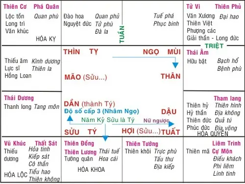 Hướng Dẫn Học Cách Xem Tử Vi Tướng Số Cho Người Mới Bắt Đầu Từ Lá Số Đến Luận Giải