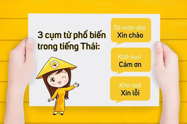 Giải Đáp Thực Tế: Học Tiếng Thái Có Khó Không Với Người Mới Tự Học? Giải Đáp Thực Tế: Học Tiếng Thái Có Khó Không Với Người Mới Tự Học?