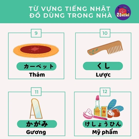 Học Từ Vựng Tiếng Nhật N5 Bằng Hình Ảnh: Phương Pháp Nhớ Lâu & Bộ Flashcard Đầy Đủ Dành Cho Người Mới Bắt Đầu