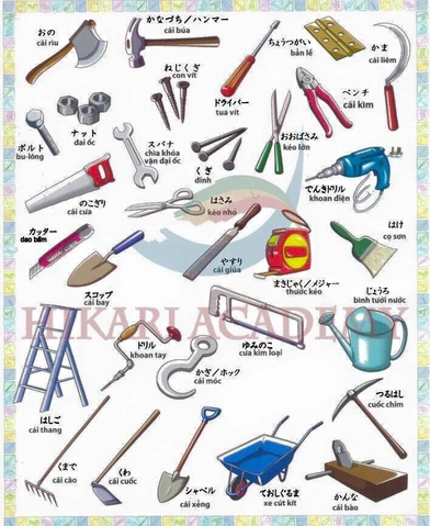 Học Từ Vựng Tiếng Nhật N5 Bằng Hình Ảnh: Phương Pháp Nhớ Lâu & Bộ Flashcard Đầy Đủ Dành Cho Người Mới Bắt Đầu