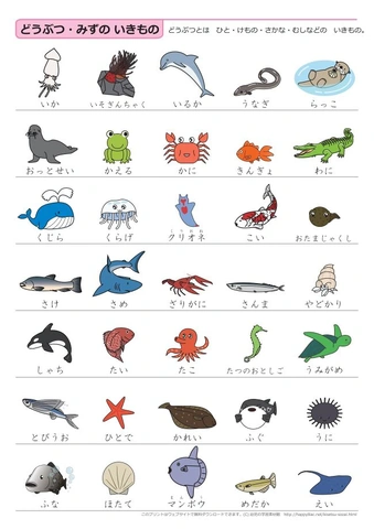 Học Từ Vựng Tiếng Nhật N5 Bằng Hình Ảnh: Phương Pháp Nhớ Lâu & Bộ Flashcard Đầy Đủ Dành Cho Người Mới Bắt Đầu